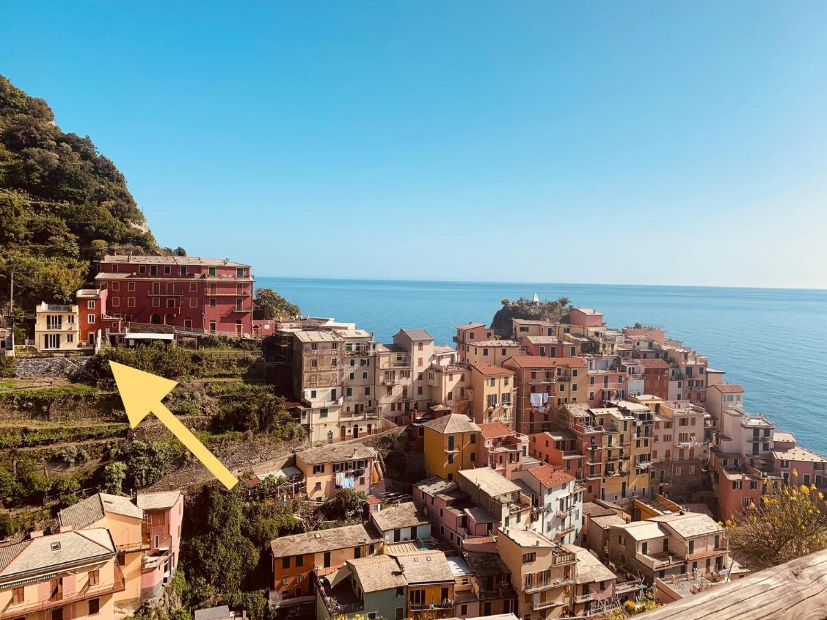 Orizzonti Apartments Manarola Exteriör bild